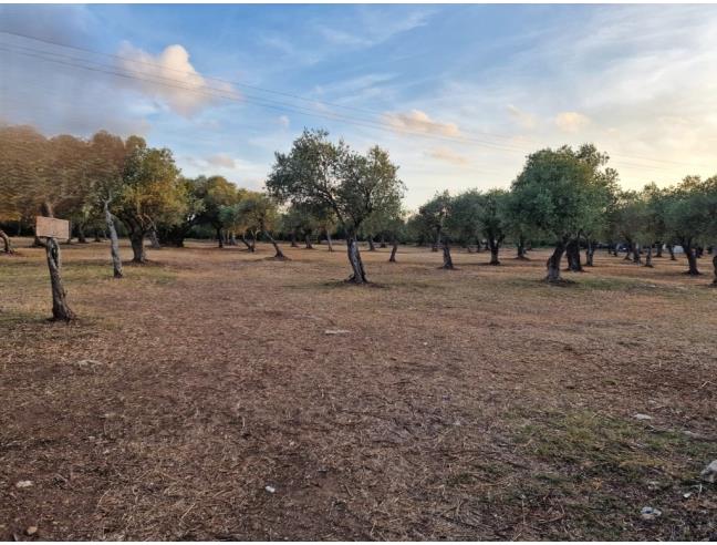 Anteprima foto 6 - Terreno Edificabile Residenziale in Vendita a Sassari - Ottava