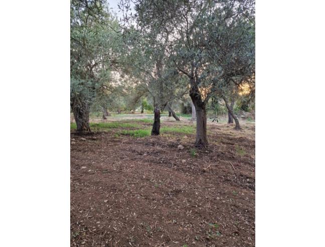 Anteprima foto 7 - Terreno Edificabile Residenziale in Vendita a Sassari - Ottava