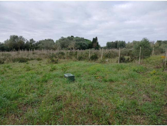 Anteprima foto 3 - Terreno Edificabile Residenziale in Vendita a Sassari (Sassari)