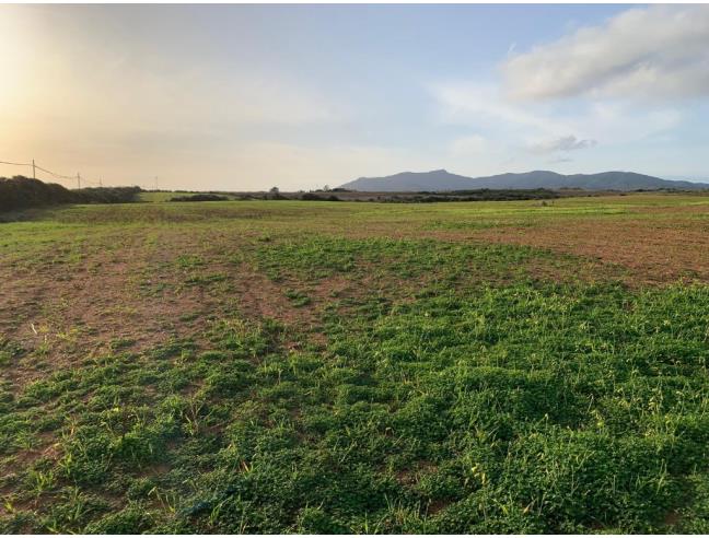 Anteprima foto 3 - Terreno Edificabile Residenziale in Vendita a Sassari - Villassunta