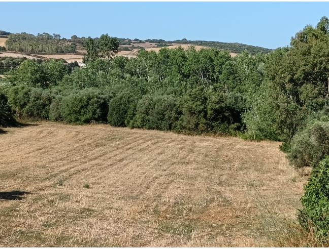 Anteprima foto 1 - Terreno Edificabile Residenziale in Vendita a Siamanna (Oristano)