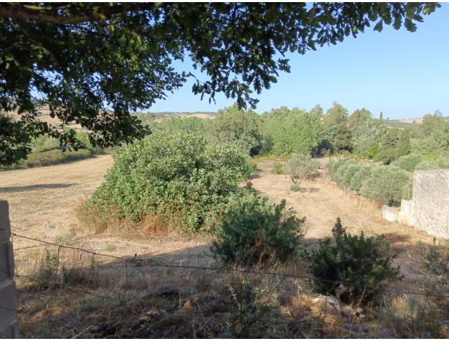 Anteprima foto 2 - Terreno Edificabile Residenziale in Vendita a Siamanna (Oristano)