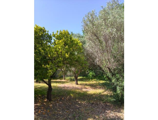 Anteprima foto 4 - Terreno Edificabile Residenziale in Vendita a Siderno - Siderno Marina
