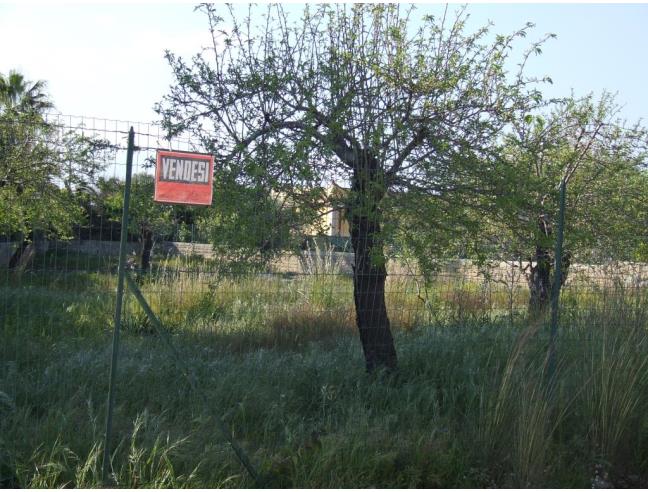 Anteprima foto 4 - Terreno Edificabile Residenziale in Vendita a Siracusa - Fontane Bianche
