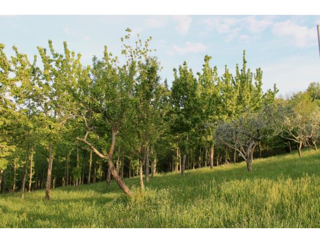 Anteprima foto 7 - Terreno Edificabile Residenziale in Vendita a Sogliano al Rubicone - Santa Maria Riopetra