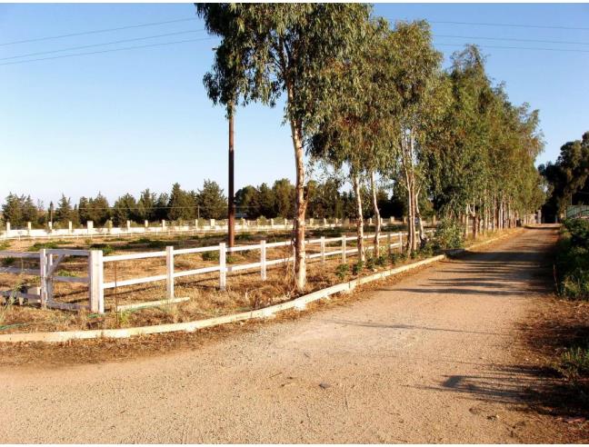 Anteprima foto 3 - Terreno Edificabile Residenziale in Vendita a Soleminis (Sud Sardegna)