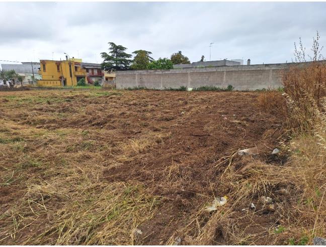 Anteprima foto 2 - Terreno Edificabile Residenziale in Vendita a Squinzano (Lecce)