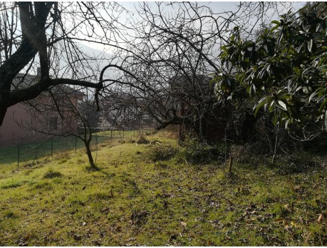 Anteprima foto 2 - Terreno Edificabile Residenziale in Vendita a Supino (Frosinone)