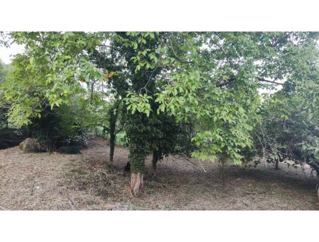 Anteprima foto 3 - Terreno Edificabile Residenziale in Vendita a Supino (Frosinone)