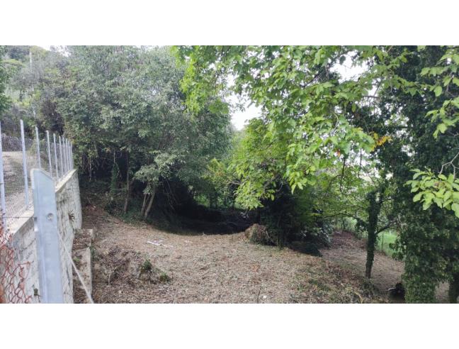 Anteprima foto 4 - Terreno Edificabile Residenziale in Vendita a Supino (Frosinone)