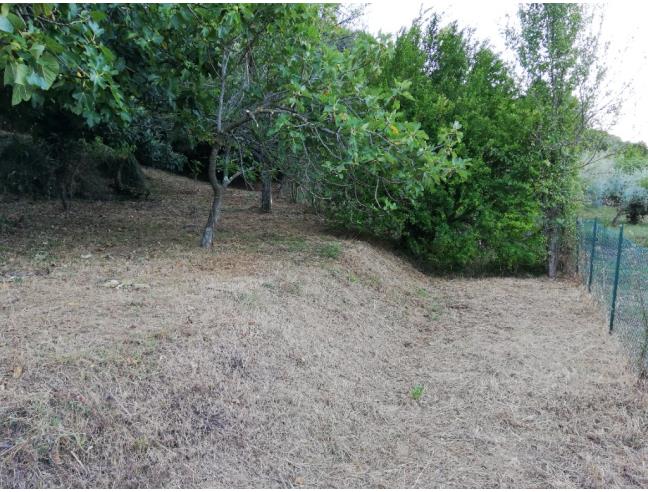 Anteprima foto 6 - Terreno Edificabile Residenziale in Vendita a Supino (Frosinone)