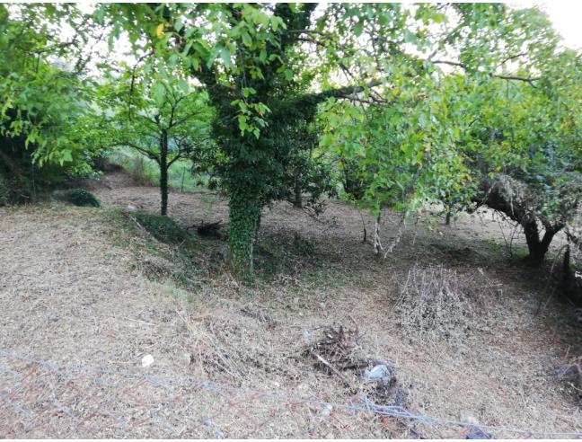 Anteprima foto 7 - Terreno Edificabile Residenziale in Vendita a Supino (Frosinone)