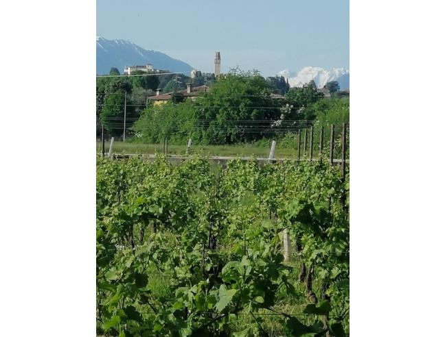 Anteprima foto 2 - Terreno Edificabile Residenziale in Vendita a Susegana - Colfosco