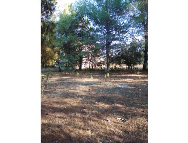 Anteprima foto 3 - Terreno Edificabile Residenziale in Vendita a Trani (Barletta-Andria-Trani)
