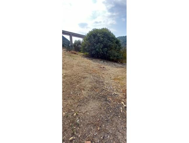 Anteprima foto 5 - Terreno Edificabile Residenziale in Vendita a Vallecrosia - Piani Di Vallecrosia