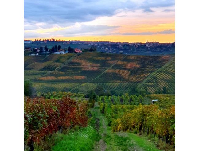 Anteprima foto 7 - Terreno Edificabile Residenziale in Vendita a Ziano Piacentino - Casa Mascandola