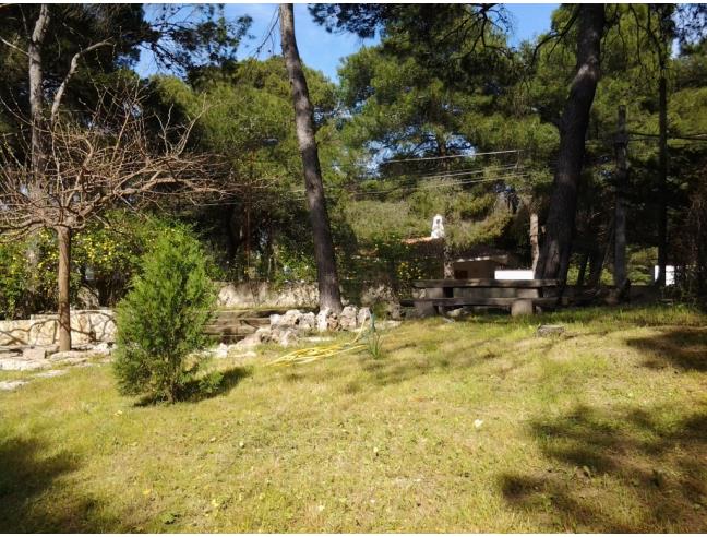 Anteprima foto 7 - Villa in Affitto a Castellaneta - Castellaneta Marina