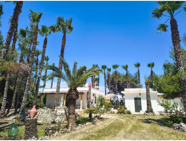 Anteprima foto 5 - Villa in Affitto a Gallipoli (Lecce)