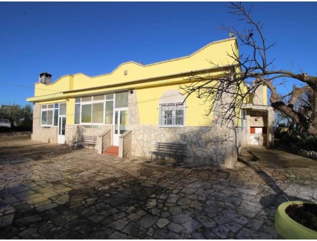 Anteprima foto 2 - Villa in Affitto a Martina Franca (Taranto)