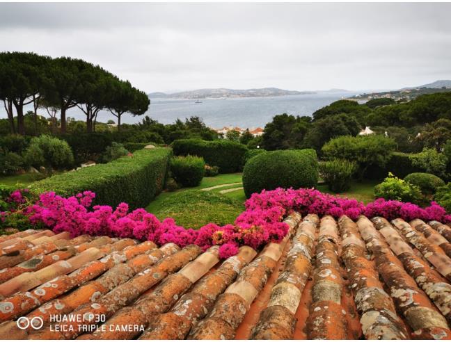Anteprima foto 3 - Villa in Affitto a Palau (Sassari)