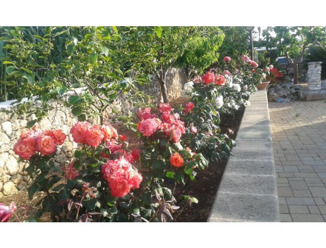 Anteprima foto 8 - Villa in Affitto a Polignano a Mare - San Vito