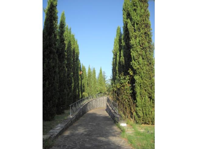 Anteprima foto 3 - Villa in Affitto a Poppi (Arezzo)