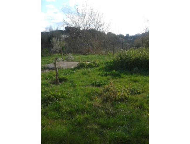 Anteprima foto 5 - Villa in Affitto a Roma - Casalotti