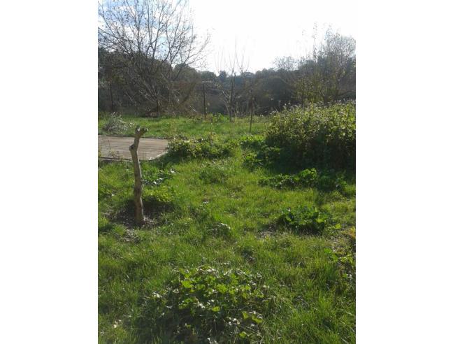 Anteprima foto 8 - Villa in Affitto a Roma - Casalotti