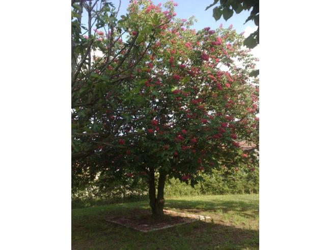 Anteprima foto 8 - Villa in Affitto a Vezza d'Alba - Borgonuovo