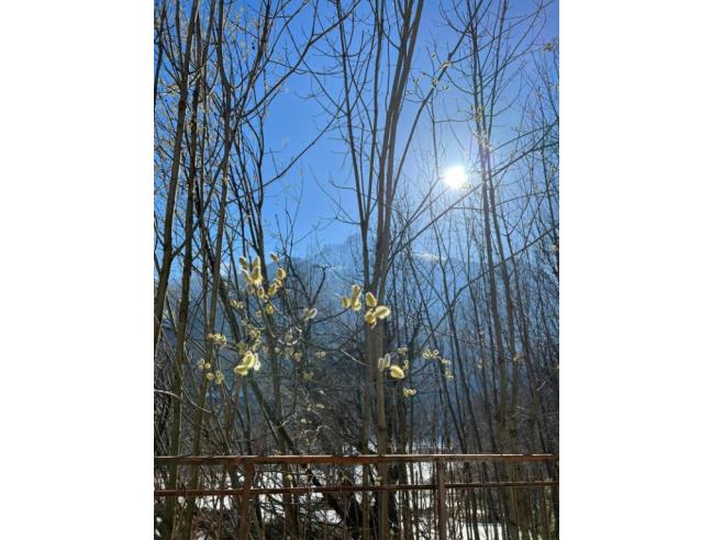 Anteprima foto 5 - Villa in Vendita a Ala di Stura (Torino)