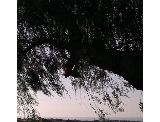 Anteprima foto 3 - Villa in Vendita a Alcamo (Trapani)