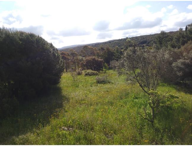 Anteprima foto 4 - Villa in Vendita a Alghero - Guardia Grande