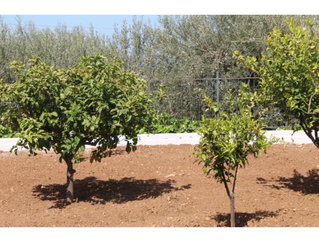 Anteprima foto 8 - Villa in Vendita a Altavilla Milicia (Palermo)