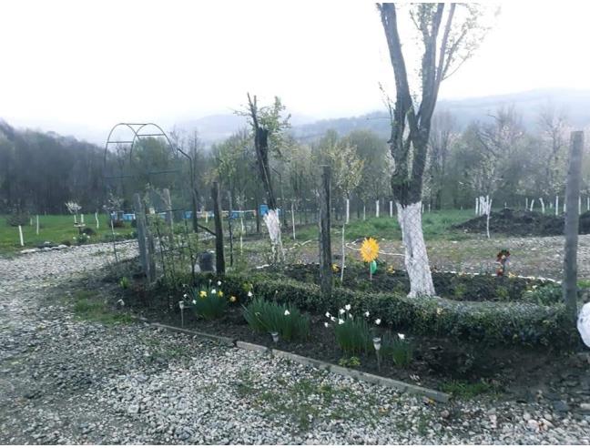 Anteprima foto 6 - Villa in Vendita a Anzio (Roma)