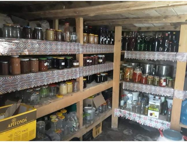 Anteprima foto 8 - Villa in Vendita a Anzio (Roma)