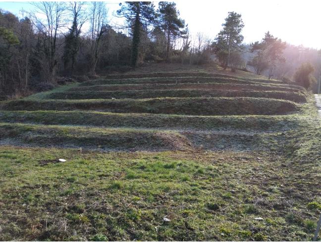 Anteprima foto 2 - Villa in Vendita a Arcola - Ressora