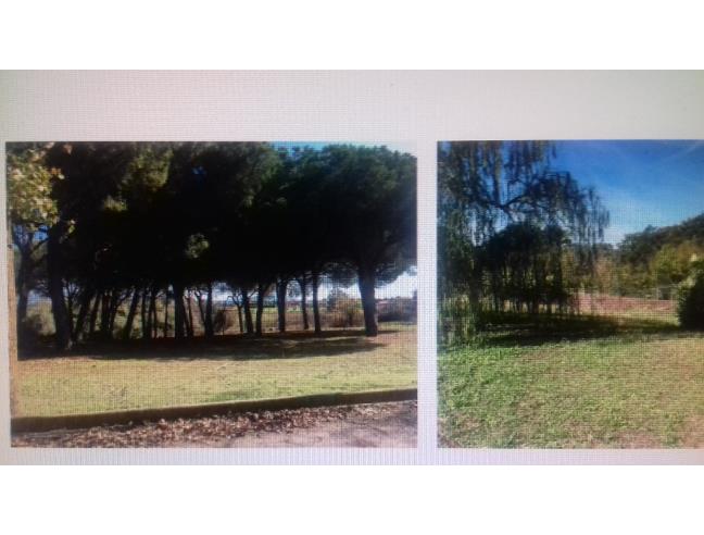 Anteprima foto 7 - Villa in Vendita a Ardea - Nuova Florida