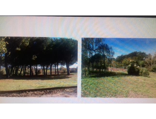 Anteprima foto 8 - Villa in Vendita a Ardea - Nuova Florida