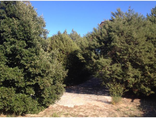 Anteprima foto 4 - Villa in Vendita a Arzachena - Porto Cervo