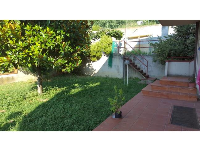 Anteprima foto 6 - Villa in Vendita a Ascoli Piceno (Ascoli Piceno)