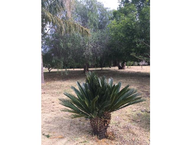 Anteprima foto 3 - Villa in Vendita a Augusta - Brucoli