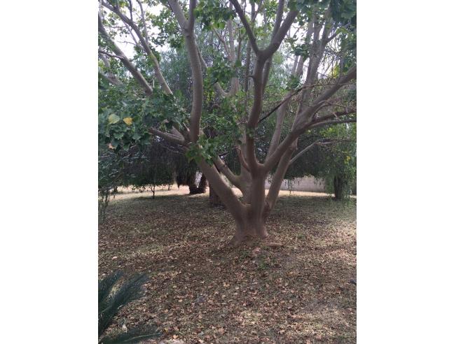 Anteprima foto 6 - Villa in Vendita a Augusta - Brucoli