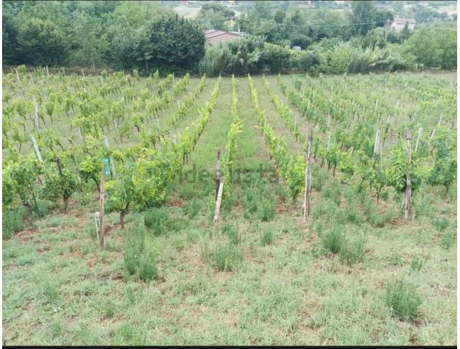 Anteprima foto 6 - Villa in Vendita a Avigliano (Potenza)