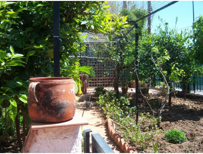 Anteprima foto 3 - Villa in Vendita a Bagheria - Aspra