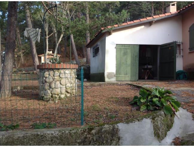 Anteprima foto 6 - Villa in Vendita a Bajardo (Imperia)