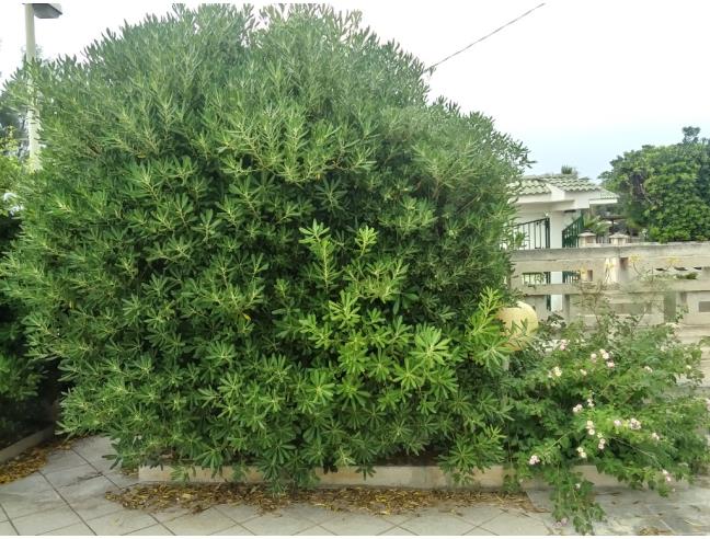 Anteprima foto 5 - Villa in Vendita a Bari - Carbonara