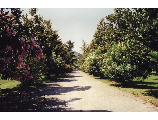Anteprima foto 5 - Villa in Vendita a Bassano del Grappa - Case Marchesane