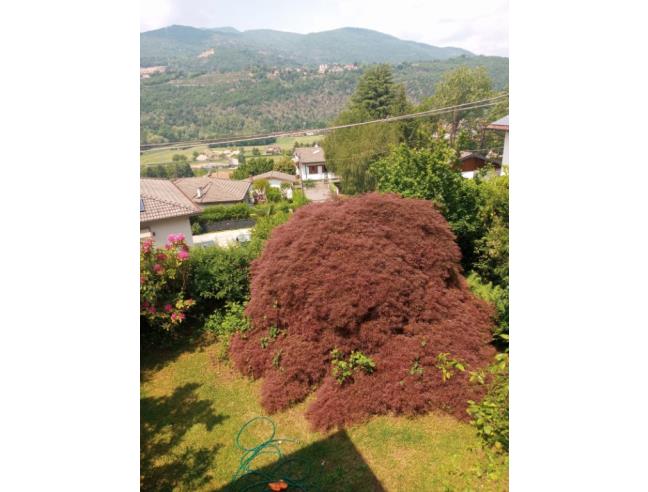 Anteprima foto 5 - Villa in Vendita a Besano (Varese)