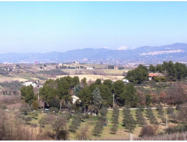 Anteprima foto 6 - Villa in Vendita a Bevagna - Ponte Di Torre Del Colle