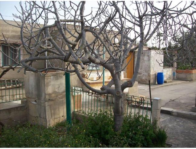 Anteprima foto 2 - Villa in Vendita a Bisceglie (Barletta-Andria-Trani)